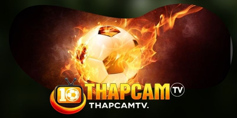Kèo HT FT Serie A: Đọc Nhịp Ý Và Odds Đảo Chiều 2 Dữ liệu đọc kèo HT FT Serie A theo từng nửa trận